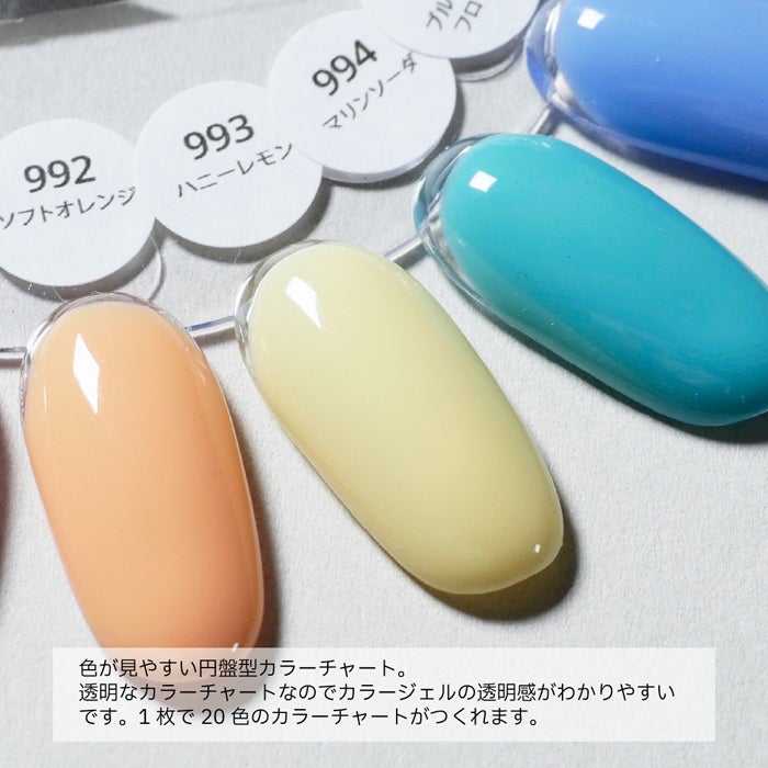 ネイル カラーチャート／クリア／２０色