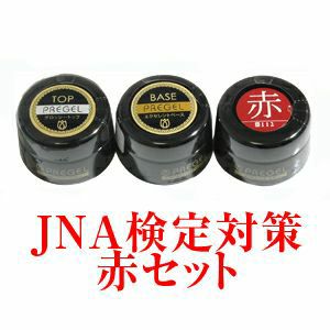 プリジェル 赤検定セット JNA検定対策赤セット | ジェルネイル＆ハンドメイド通販 Joyart