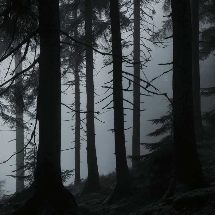 マイオーマイ 　マーク ５香水 ＦＥＡＲ＜恐れ＞