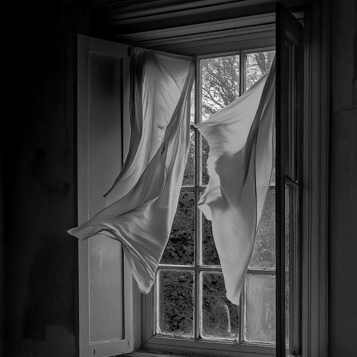 マイオーマイ 　マーク ５ハンドウォッシュ ＳＨＡＭＥ ＜恥＞